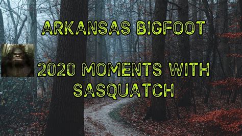 Arkansas Bigfoot 2020 Moments With Sasquatch Youtube