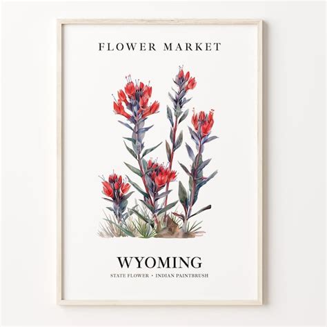 Indian Paintbrush Etsy