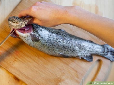 How To Fillet Trout 11 Steps With Pictures WikiHow