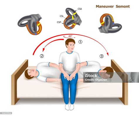 Maneuver Semont Leadership Carrying Out Vector Eps10 Stock Illustration ...