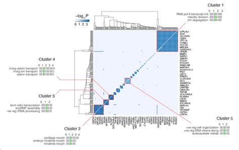 Clustering Of The Rh Seq Network The Five Largest Clusters Are