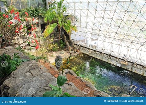 Pool Inside the Biosphere 2 in Tucson Arizona Editorial Image - Image of building, botanical ...