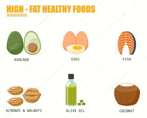 HIGH FAT HEALTHY FOODS infographics — Stock Vector © KJNNT #90813328