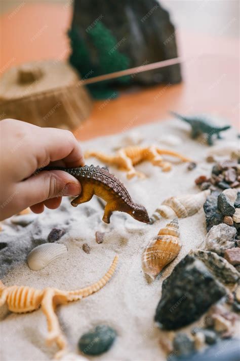 Premium Photo | Sensory bin for childs play closeup dinosaur and shells