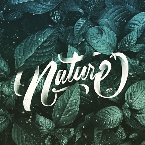 Nature Lettering | Instagram, Naturaleza, Ilustraciones