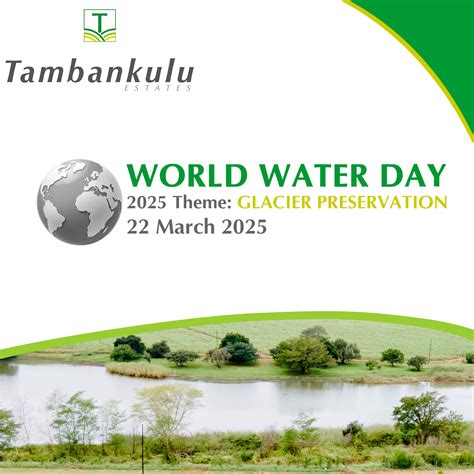 Tambankulu - 💧 World Water Day 2025: Glacier Preservation 💧 Every drop