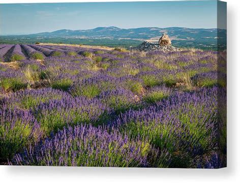 Col De Lhomme Mort Canvas Print Canvas Art By Photo By Roman Sandoz