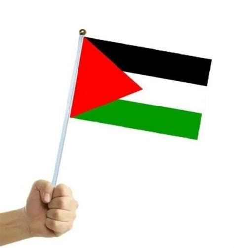 100pcs Bulk Buy Small Palestine Handheld Flag Free Gaza