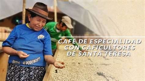 Café de especialidad con caficultores de Santa Teresa Cusco YouTube