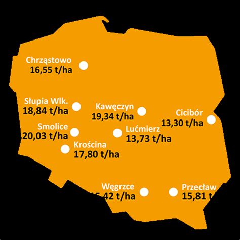 BRV2604 Rambo Kukurydza Na Ziarno