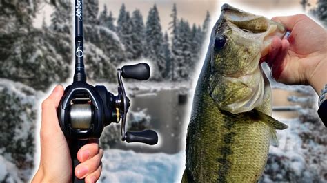 WINTER Bass Fishing in PRIVATE Neighborhood Pond! – Bass Manager | The ...