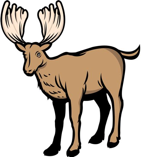 Moose 36667341 Vector Art At Vecteezy