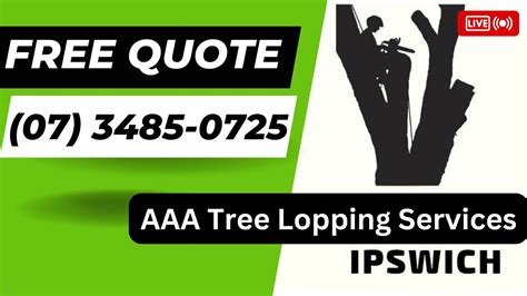 Tree Removal Springfield Lakes AAA Tree Lopping Ipswich 07 3485