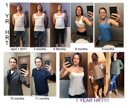 Body Stages Of Mtf Transition Timeline