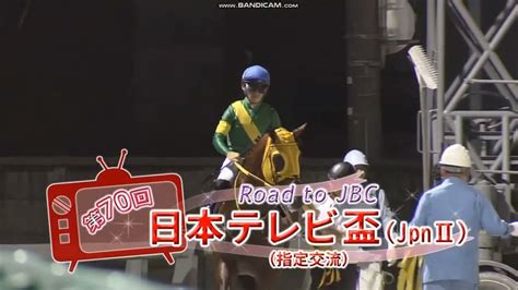 2023年 日本テレビ盃（jpnii）ファンファーレ 競馬動画まとめ