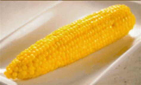 Corn GIF - Corn - Discover & Share GIFs