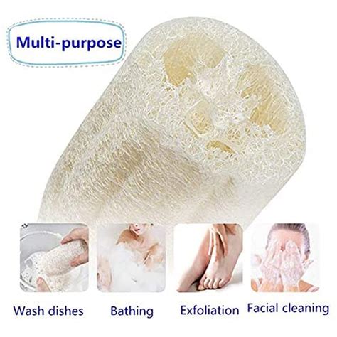 Natural Exfoliating Loofah Sponge