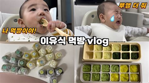 맘마 늦게주면 우는아기 초기이유식 만들기 양배추 청경채 애호박 브로콜리🥦 5개월아기👶🏻 육아브이로그 Youtube