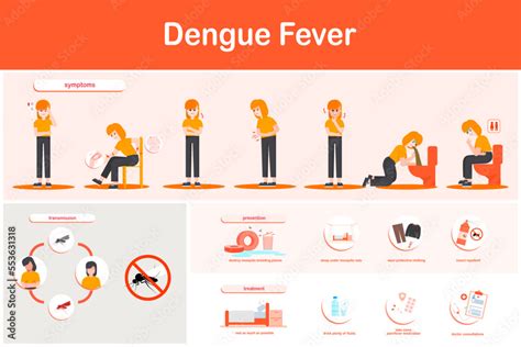 Vector Illustration Infographics Dengue Fever Symptoms Transmission Prevention And Treatment