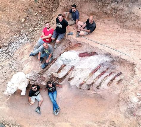 Kerangka dinosaurus setinggi 82 kaki ditemukan di halaman belakang