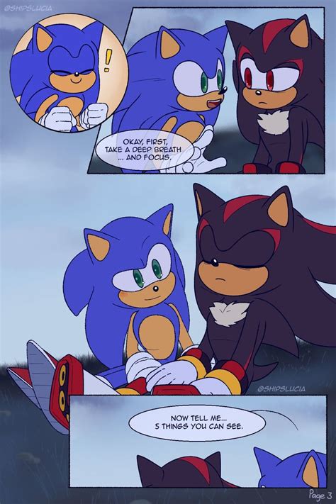 Sonic The Hedgehog And Shadow The Hedgehog Are Talking To Each Other In