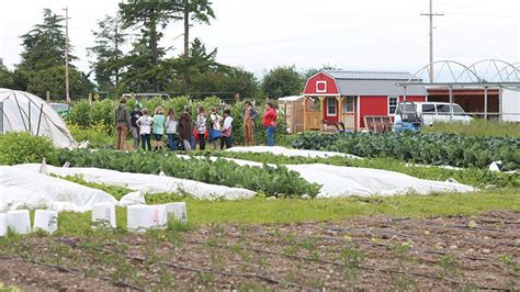 Growing A New Kind Of Cafeteria Food Pcc Community Markets