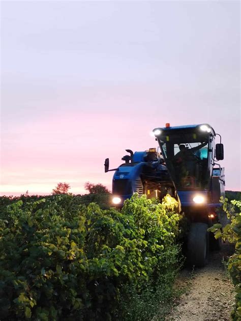 Vendanges Les Vignerons Du Pays D Ens Rune