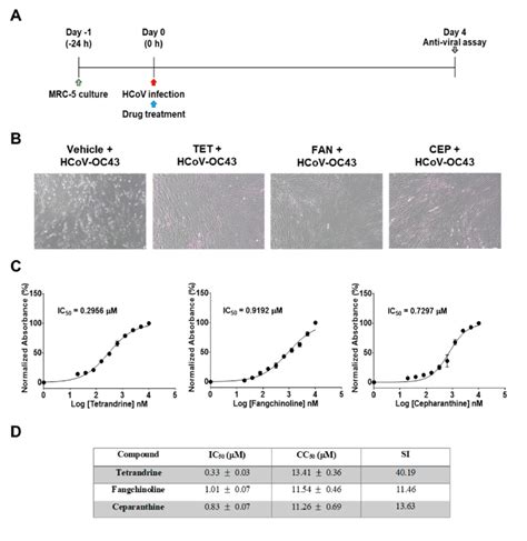 Antiviral Activities Of Tet Fan And Cep In Mrc Cells Mrc Cells