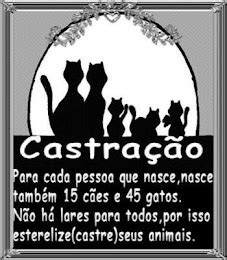 GATO CARIOCA TOXOPLASMOSE a culpa não é do gato