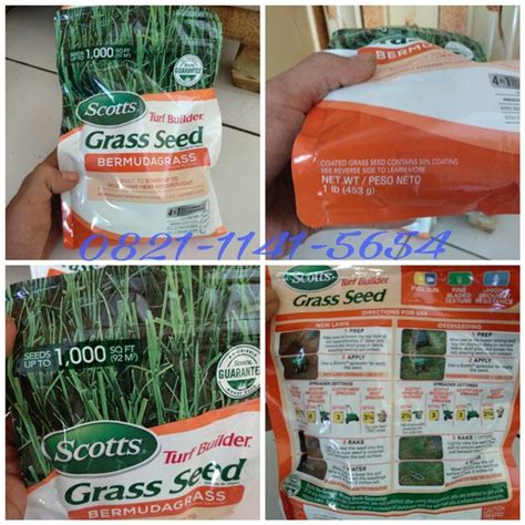 Jual Biji Rumput Bermuda Grass Kemasan 1lb Benih Rumput Lapangan