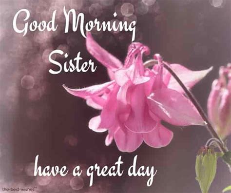 120 Lovely Good Morning Wishes For Sister Hd Images And Greetings Good Morning Sister