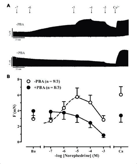 | Indirect sympathomimetic effects of norephedrine. (A) Original ...