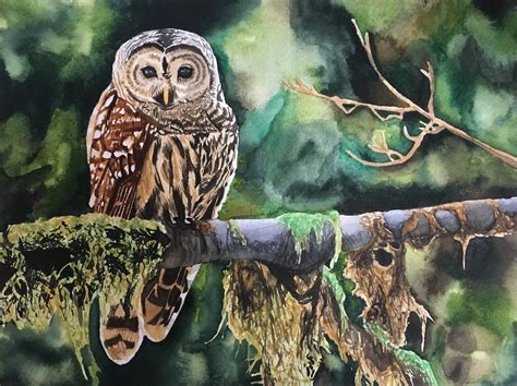 Artstation Barred Owl