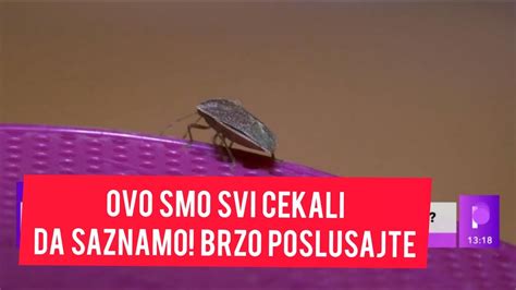 Ovo Smo Svi Hteli Da Znamo Evo Za To Smrdibube Smrde I Da Li Je To