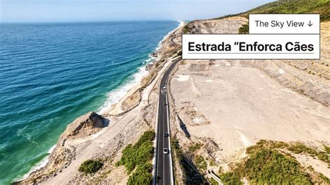 Experimente A Emo O Da Estrada Enforca Os C Es Da Murtinheira