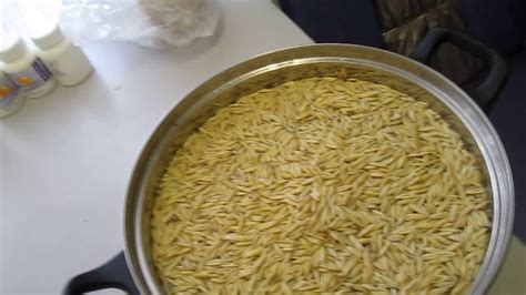 Овес Для Печени Рецепт С Фото — Картинки фотографии