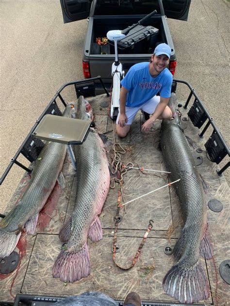 East Texans Catch Three Large Alligator Gar At Sam Rayburn Reservoir