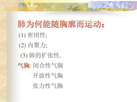 Ppt 第七章呼吸系统生理 Powerpoint Presentation Free Download Id 3560958