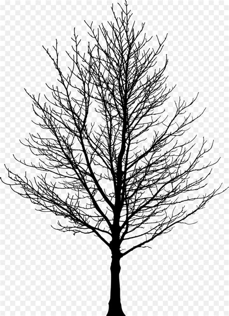 Free Tree No Leaves Silhouette, Download Free Tree No Leaves Silhouette png images, Free ...