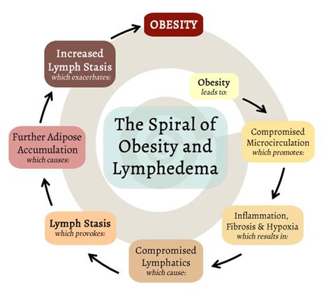 Lymphedema Obesity