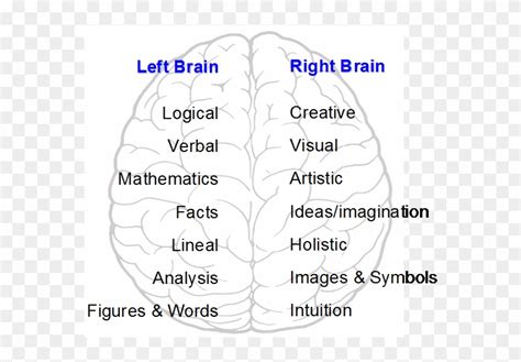 Are You Right Brained Left Brained Take The Brain Test Left And Right