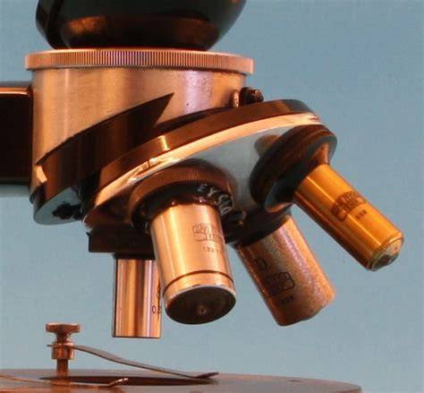 Compound Achromatic Microscope L Stand Stichting Voor Historische