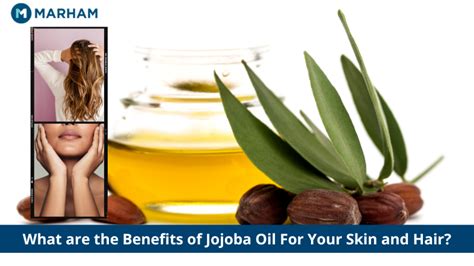 Benefits Of Jojoba Oil For Hair And Skin Marham