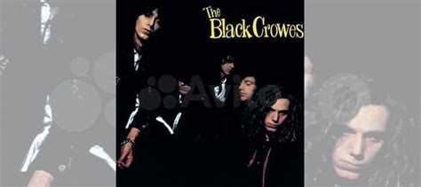 Виниловая пластинка The Black Crowes Shake Your купить в Москве