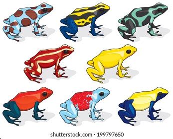 Poison Dart Frogs Stock Vector Royalty Free 199797650 Shutterstock