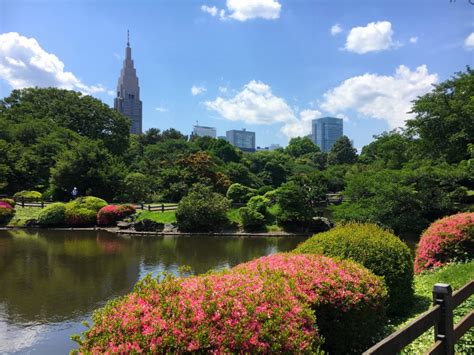 visiting shinjuku gyoen national garden  tokyo