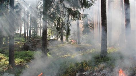 Amenaza De Contaminación Por Los Incendios Fundación Aquae