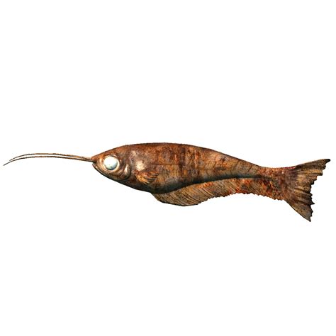 File:SR-icon-food-Cooked Glass Catfish.png - UESP Wiki - The Unofficial ...
