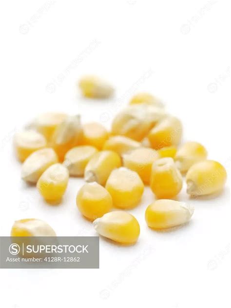 popping corn superstock