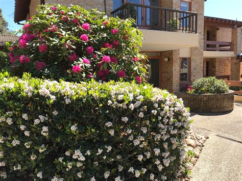 U25 – 1BR Ground Floor Ideal for Pets – Baldwin Living